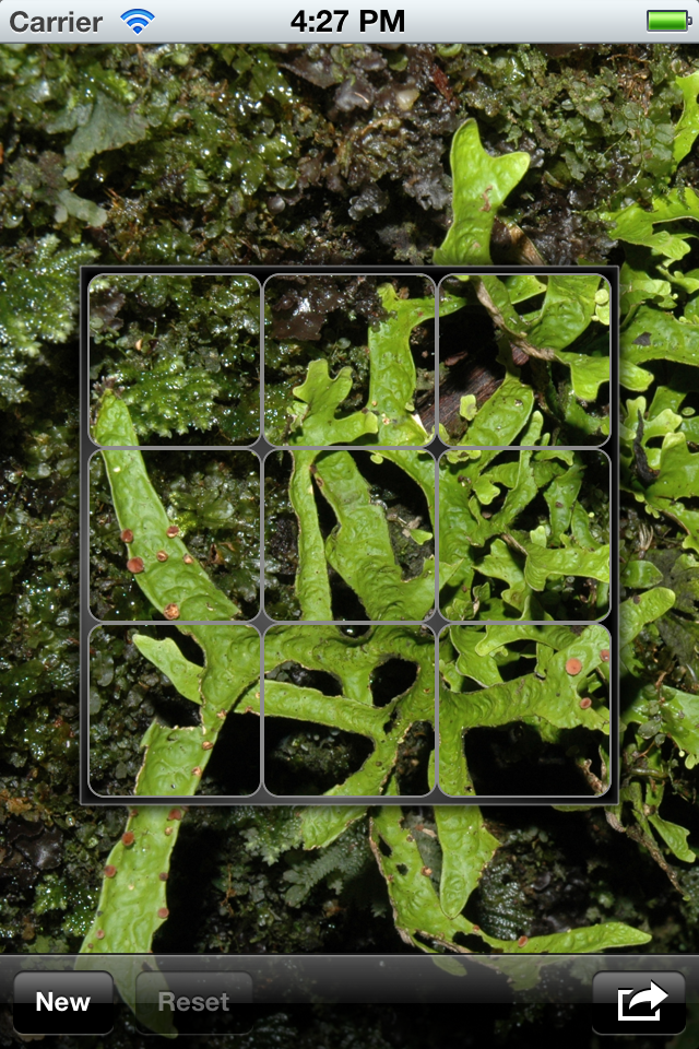 Screenshot Tyro Puzzle Screenshot Tyro Puzzle